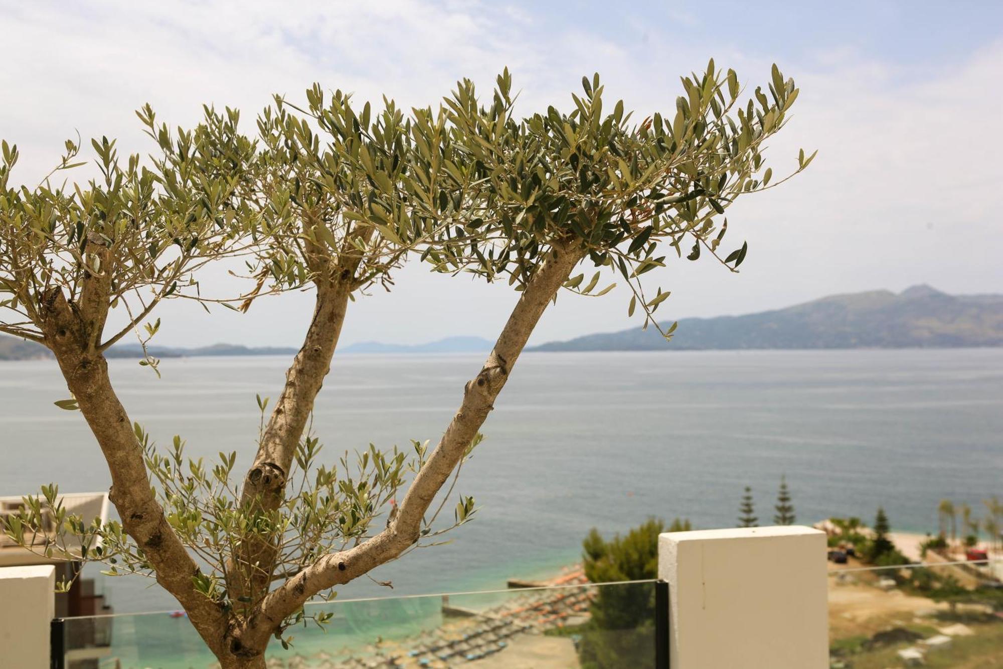 Matias Apartments Sarandë 外观 照片